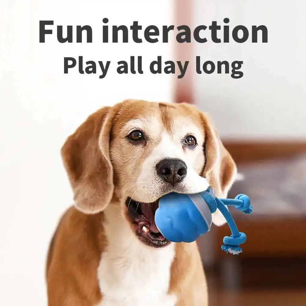 PETAMOUR Dog Toys Smart Rolling Ball