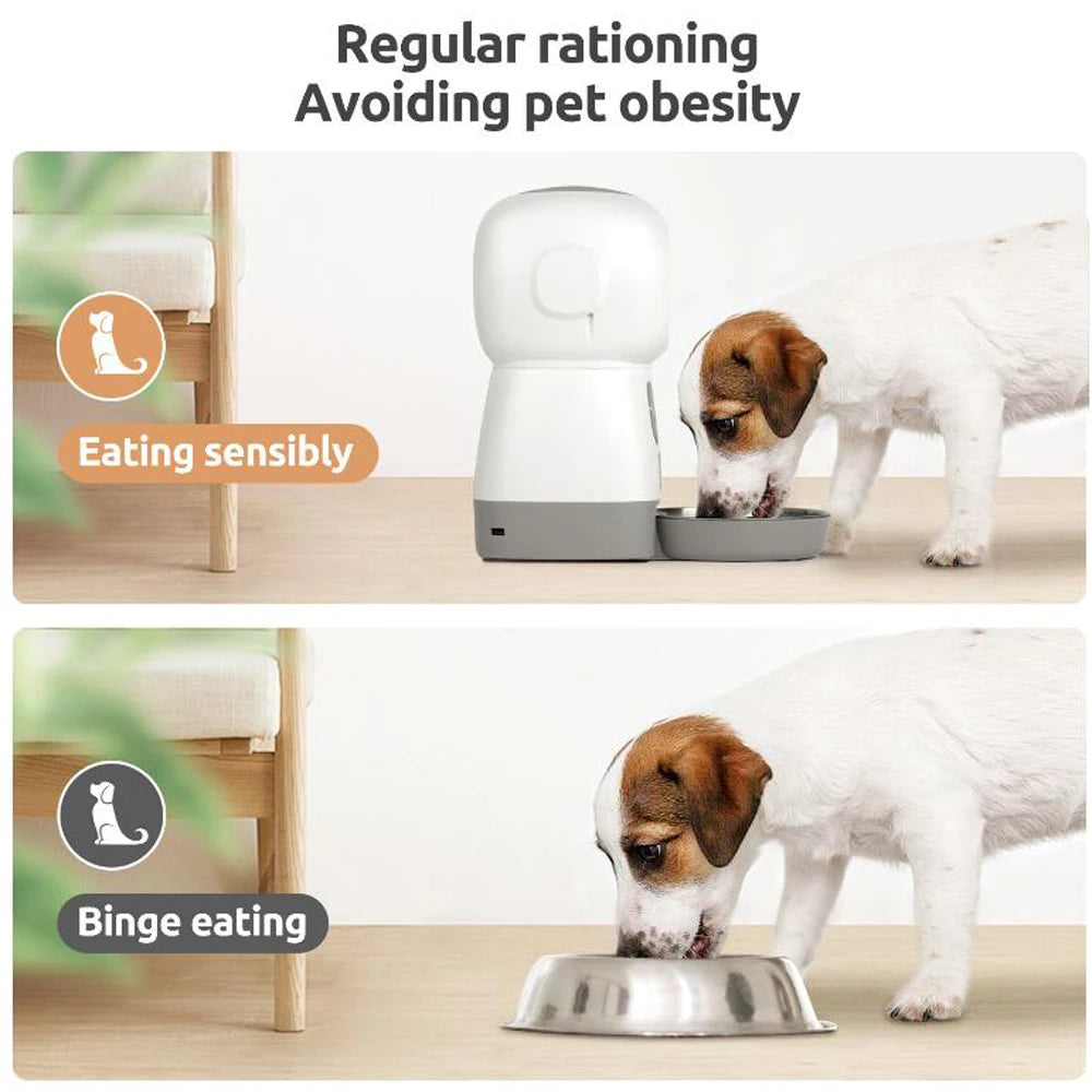 PETAMOUR Pet Feeder For Cats
