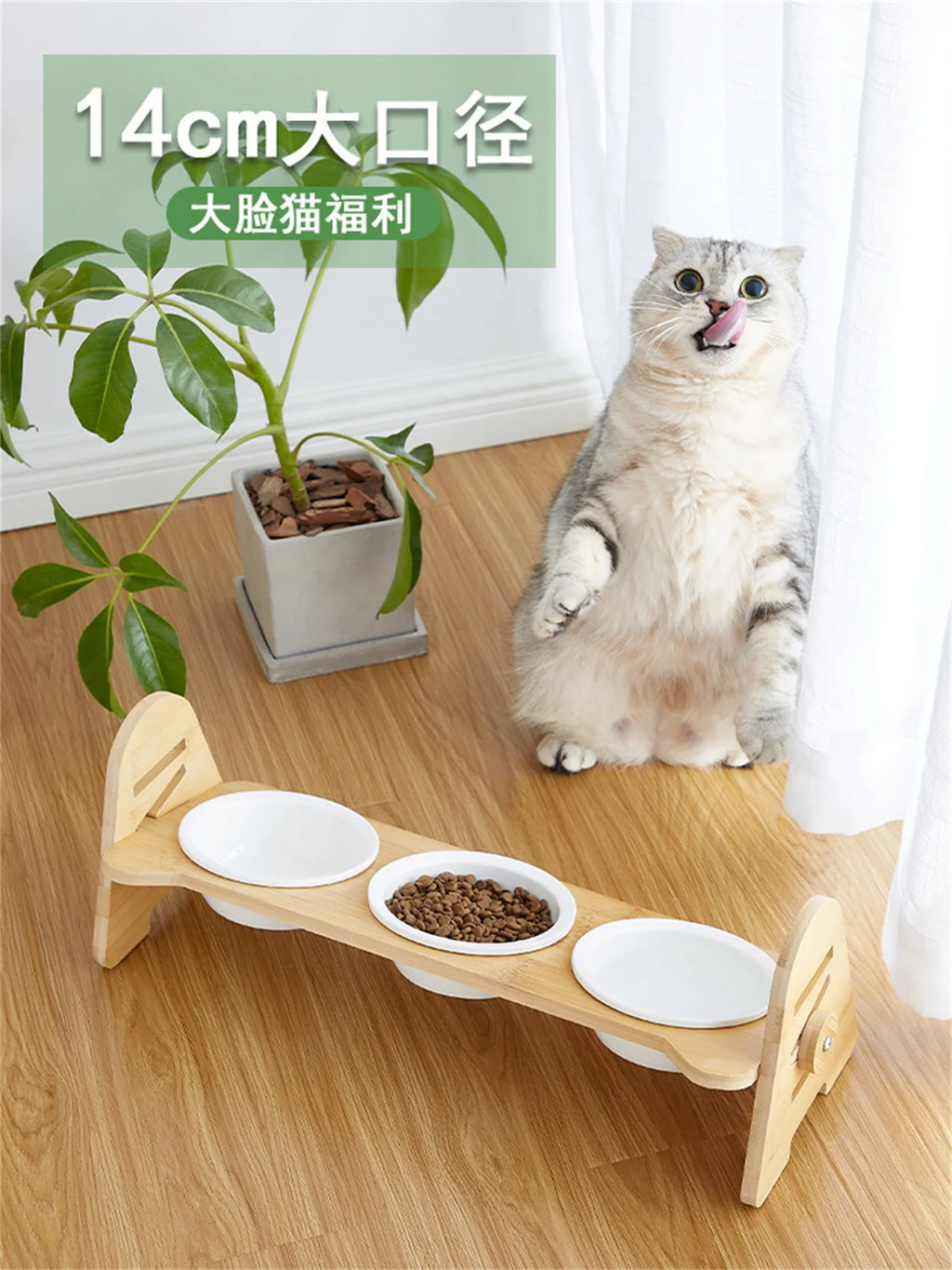 PETAMOUR Bamboo Elevated Puppy Cat Bowls