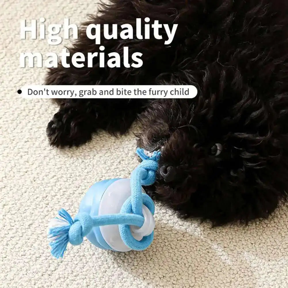 PETAMOUR Dog Toys Smart Rolling Ball