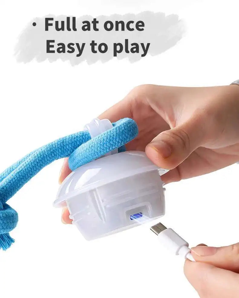 PETAMOUR Dog Toys Smart Rolling Ball