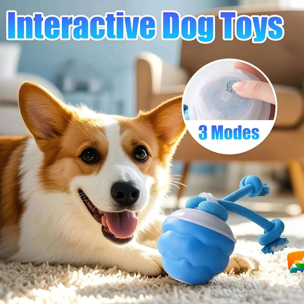 PETAMOUR Dog Toys Smart Rolling Ball