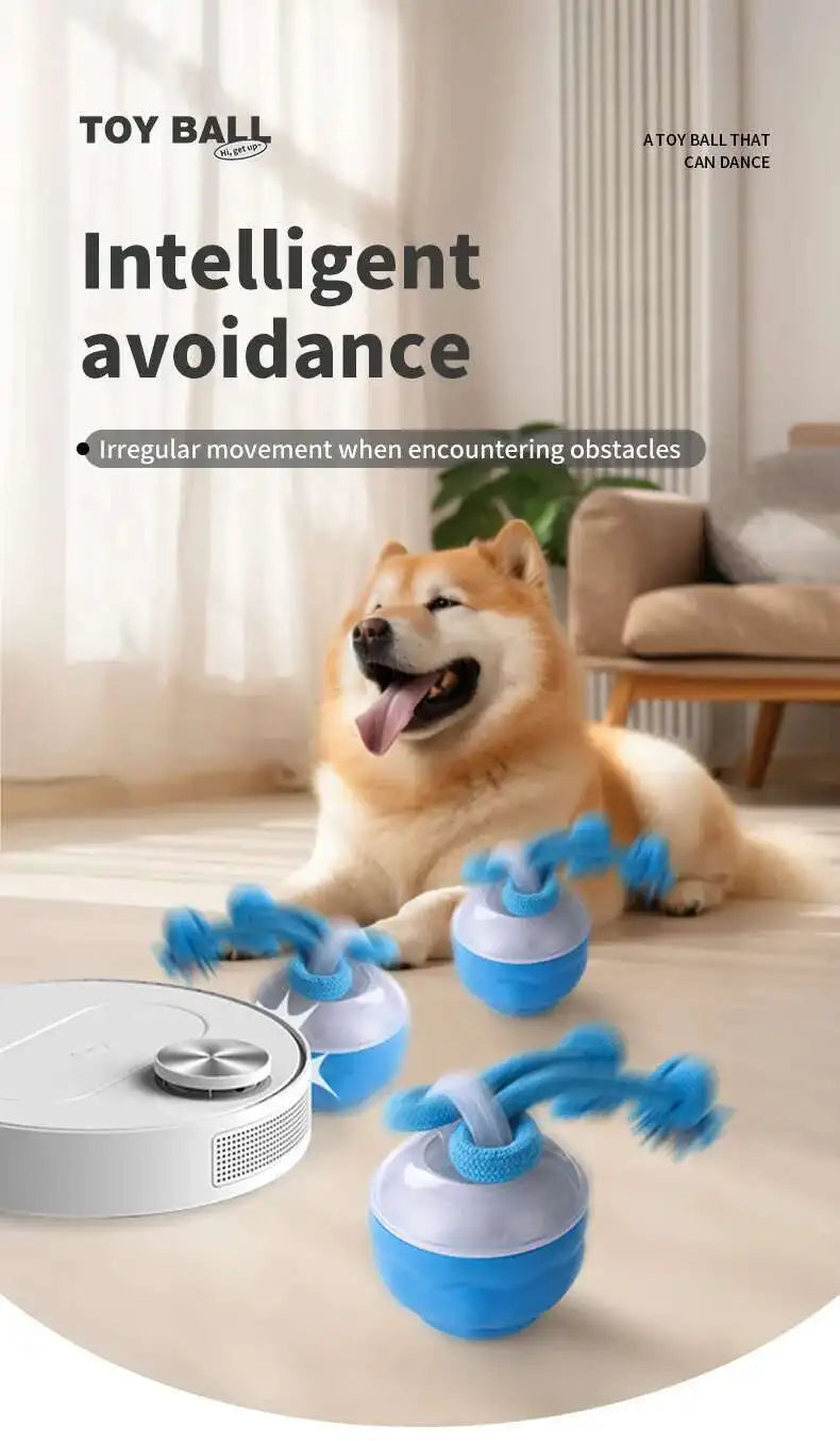 PETAMOUR Dog Toys Smart Rolling Ball