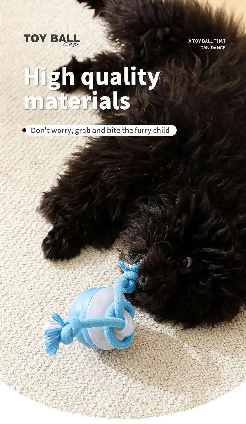 PETAMOUR Dog Toys Smart Rolling Ball
