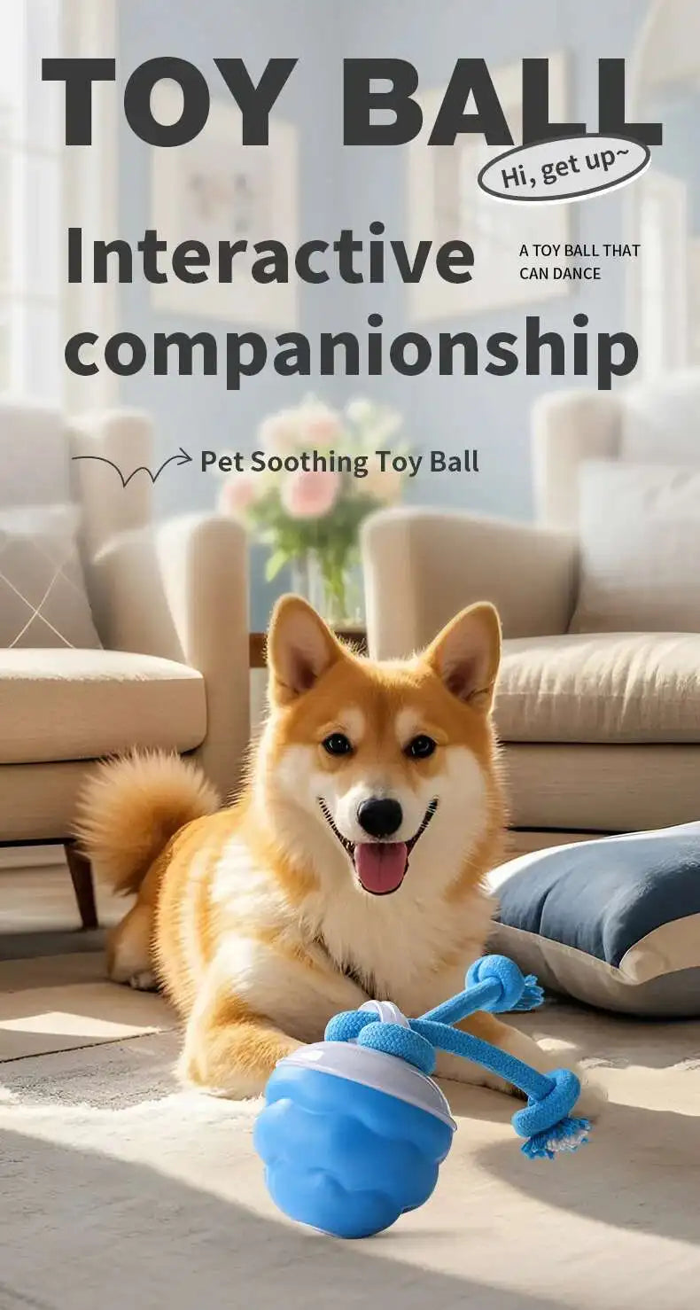 PETAMOUR Dog Toys Smart Rolling Ball