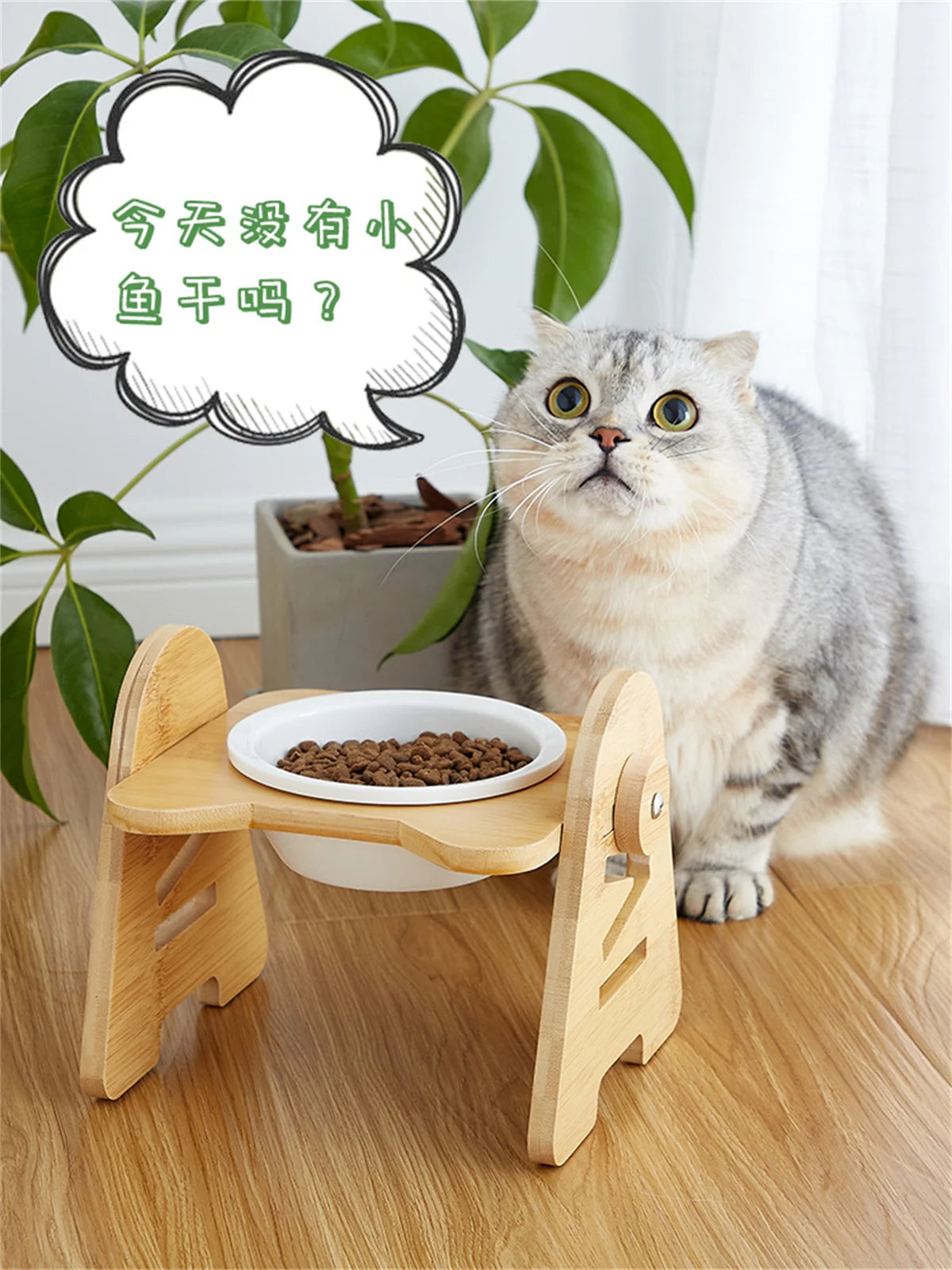 PETAMOUR Bamboo Elevated Puppy Cat Bowls